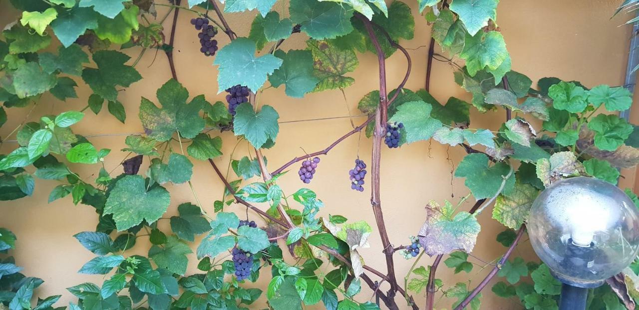 Casa Vacanze Rose E Fiori Sardegna San Vito  Eksteriør bilde
